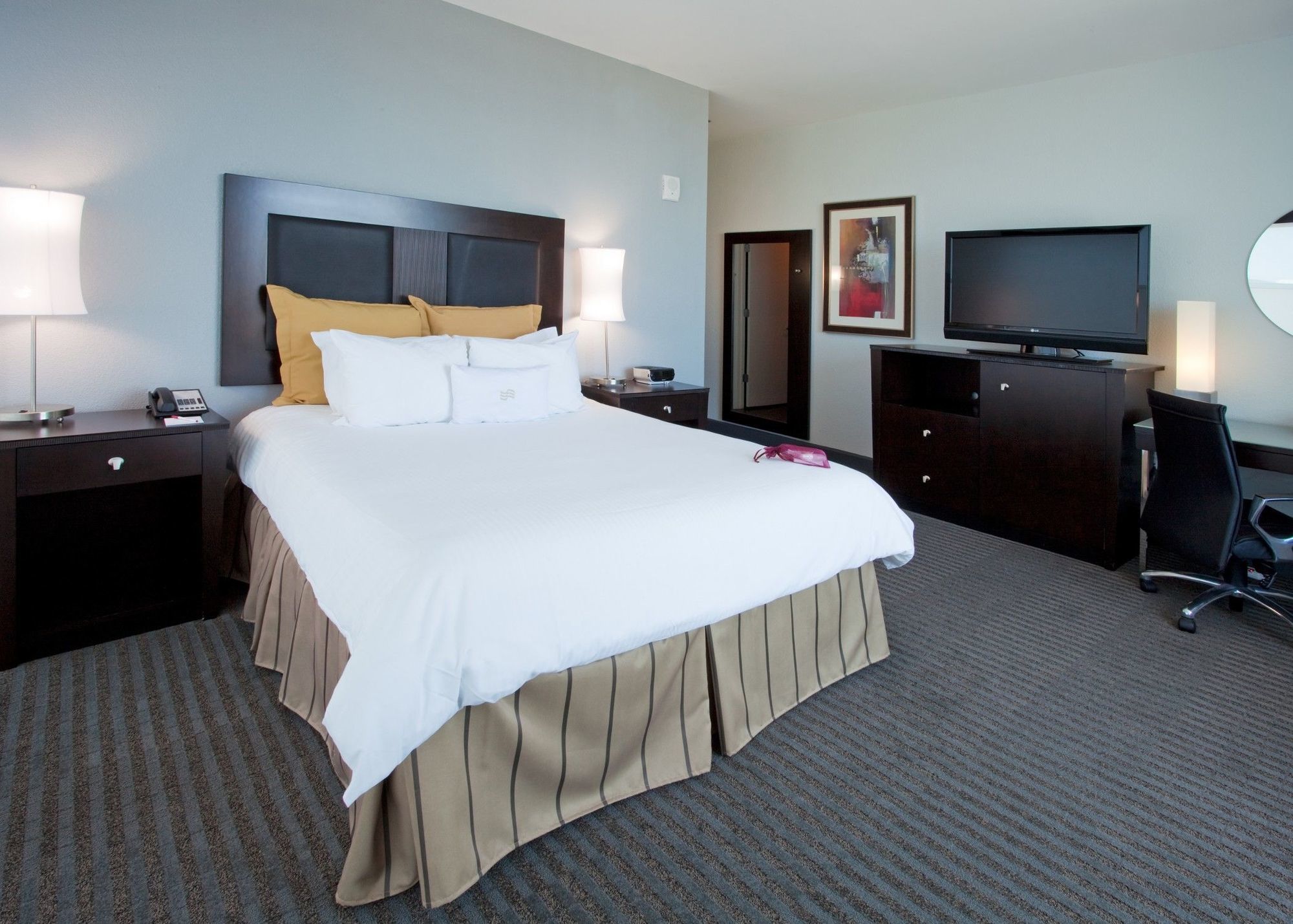 Hotel Alba Tampa, Tapestry Collection By Hilton Chambre photo